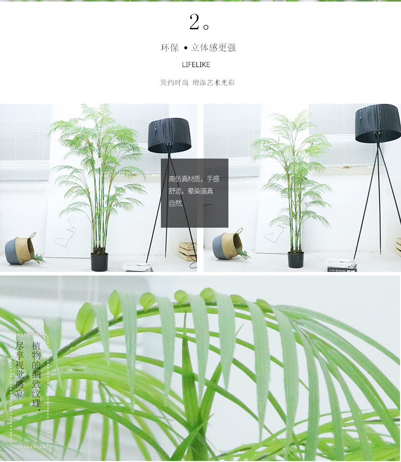 葵樹詳情頁_03.jpg