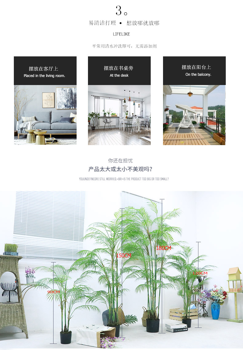 葵樹詳情頁_04.jpg