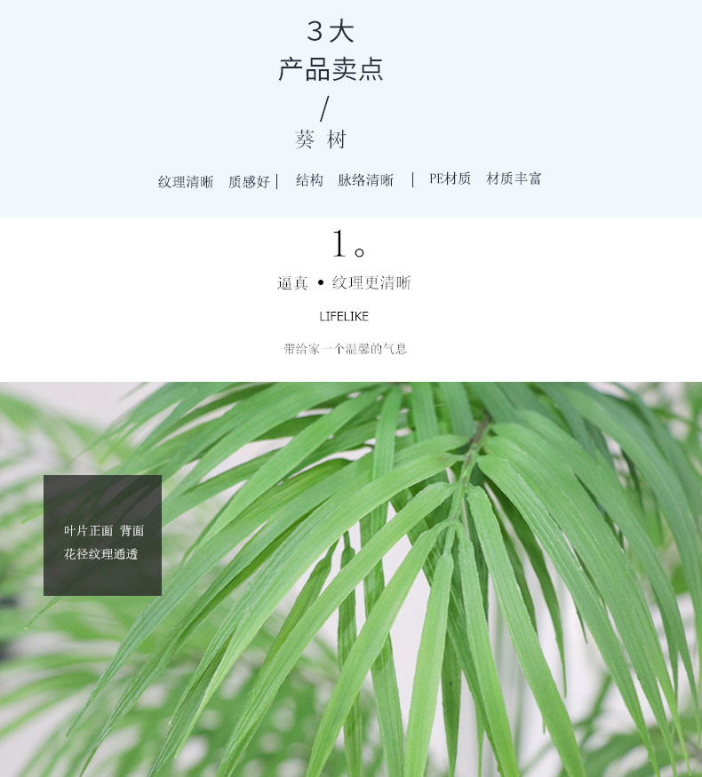 葵樹詳情頁_02.jpg