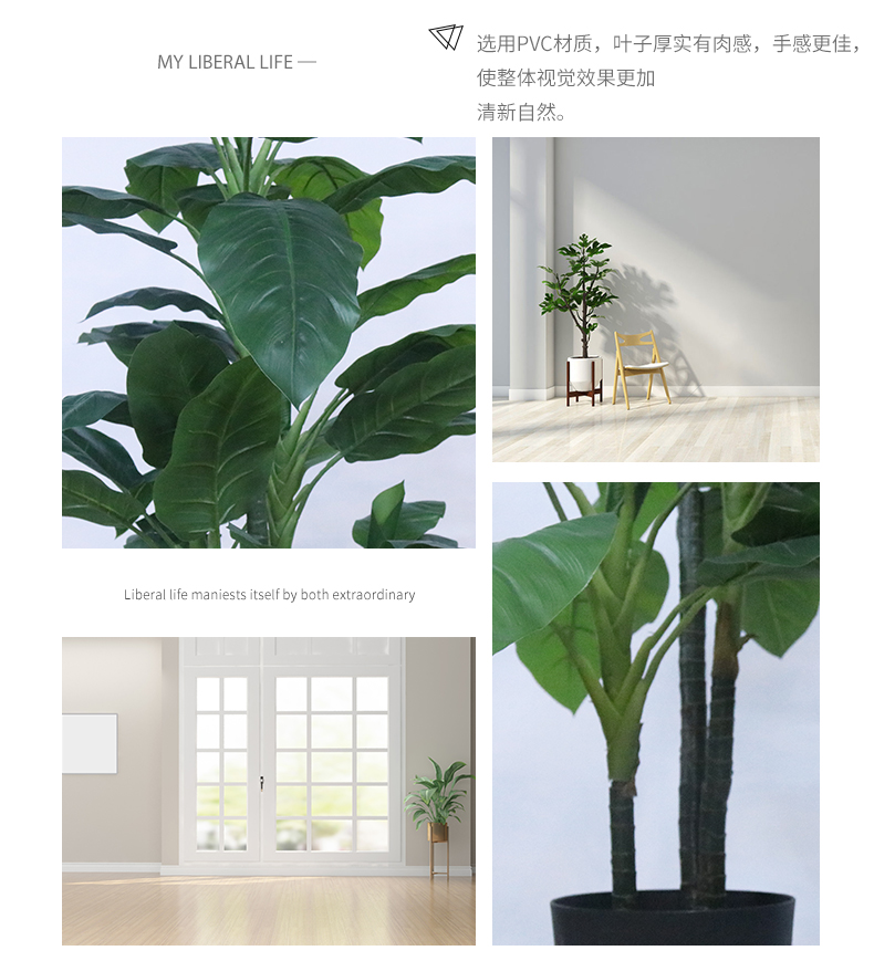 紅綠寶石詳情頁_05.jpg