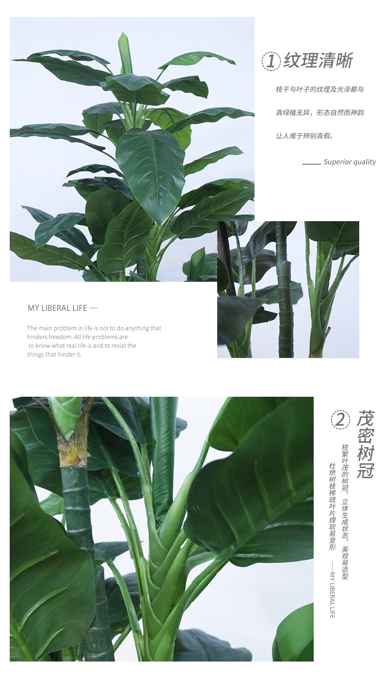 紅綠寶石詳情頁_03.jpg