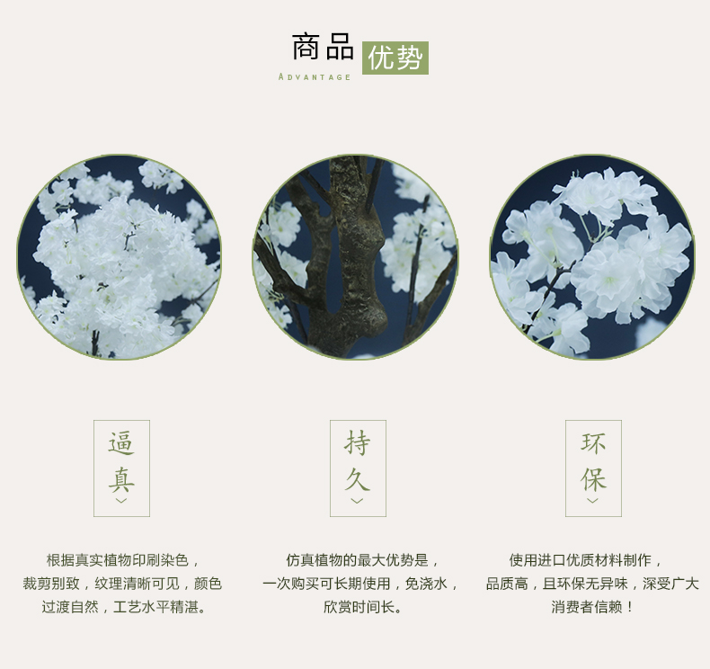 櫻花樹(shù)詳情頁(yè)_02.jpg