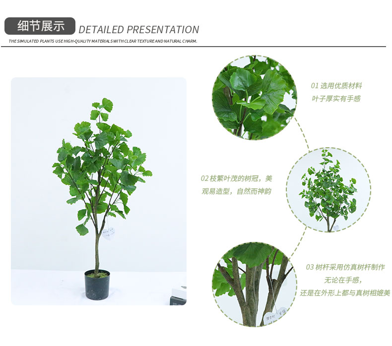 銀杏樹(shù)詳情頁(yè)_04.jpg