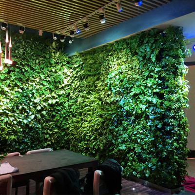 熱帶雨林主題餐廳植物墻