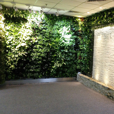 辦公室內(nèi)植物墻