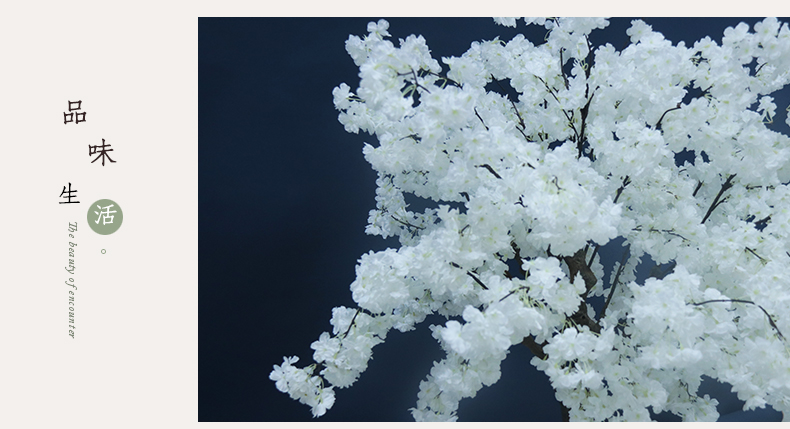 櫻花樹(shù)詳情頁(yè)_06.jpg