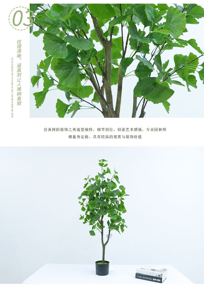 銀杏樹(shù)詳情頁(yè)_06.jpg