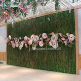 ?？谵r(nóng)業(yè)公園植物墻3