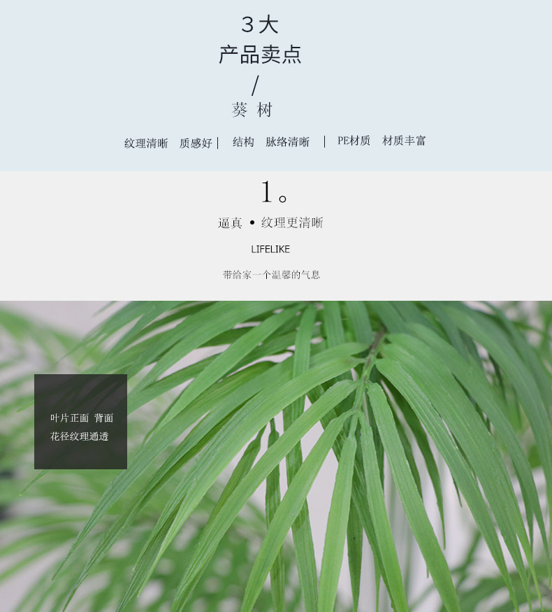 葵樹詳情頁(yè)_02.jpg