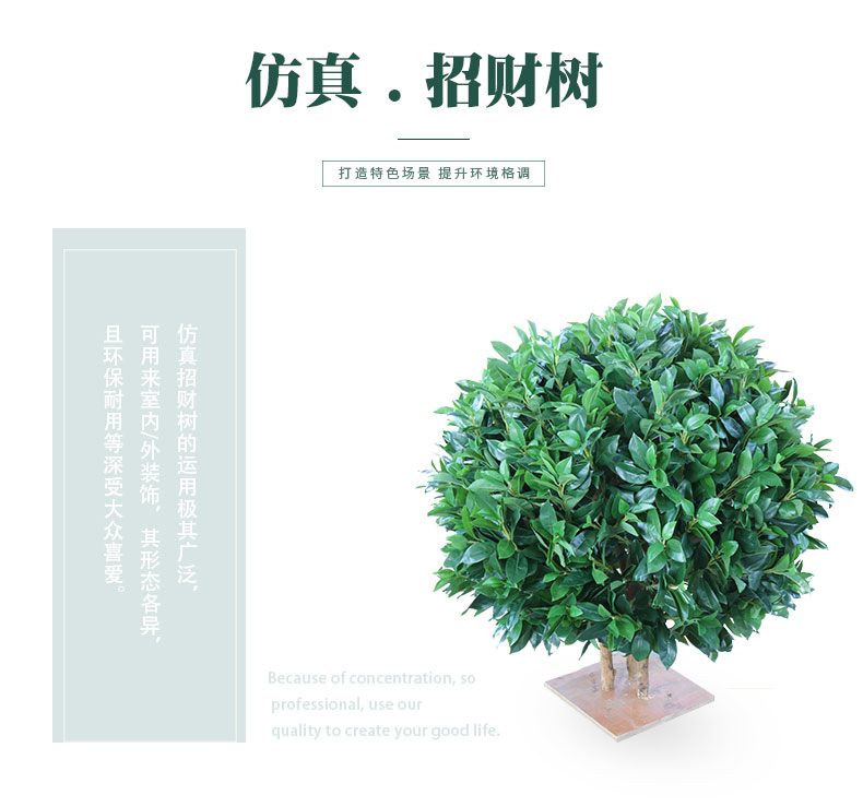 招財樹詳情頁_01.jpg