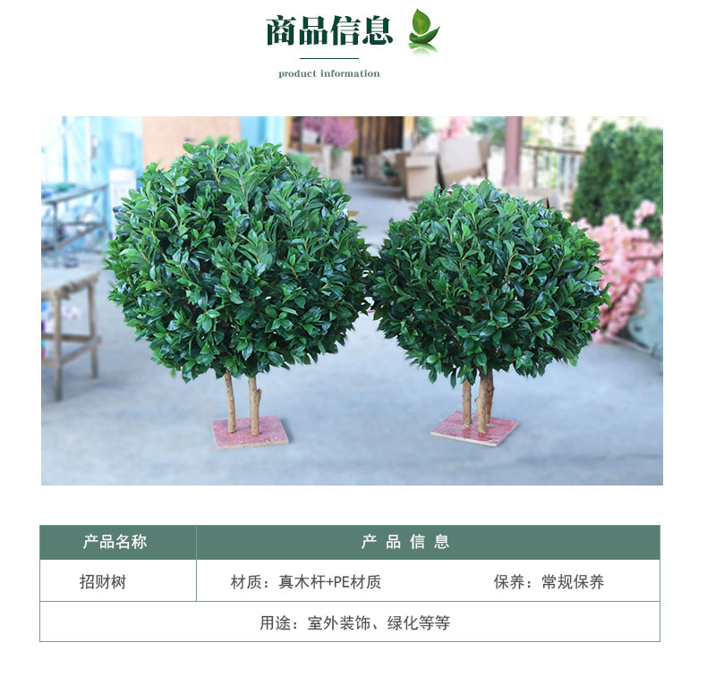 招財樹詳情頁_03.jpg