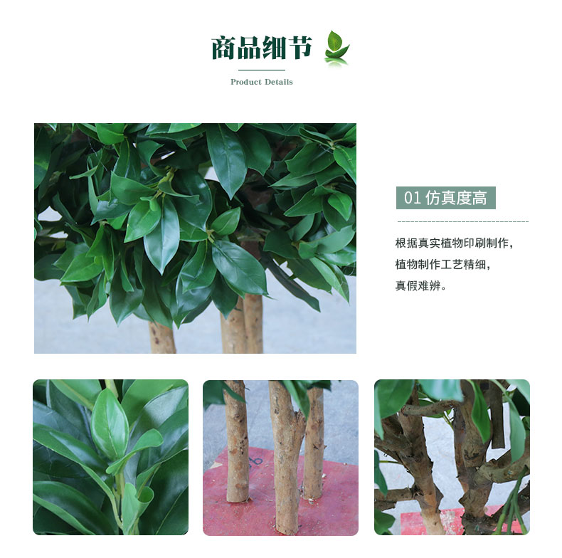 招財樹詳情頁_04.jpg