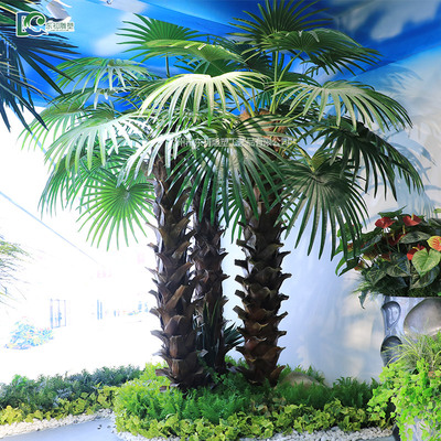 室內(nèi)棕櫚樹