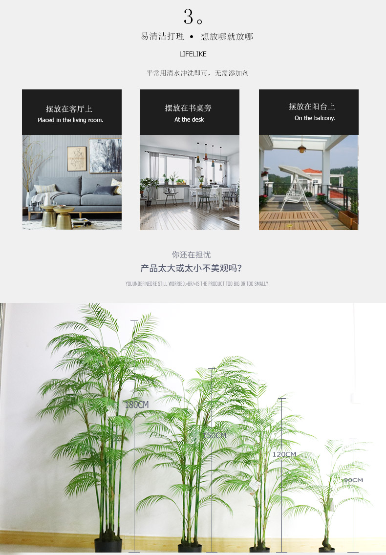 葵樹詳情頁(yè)_04.jpg