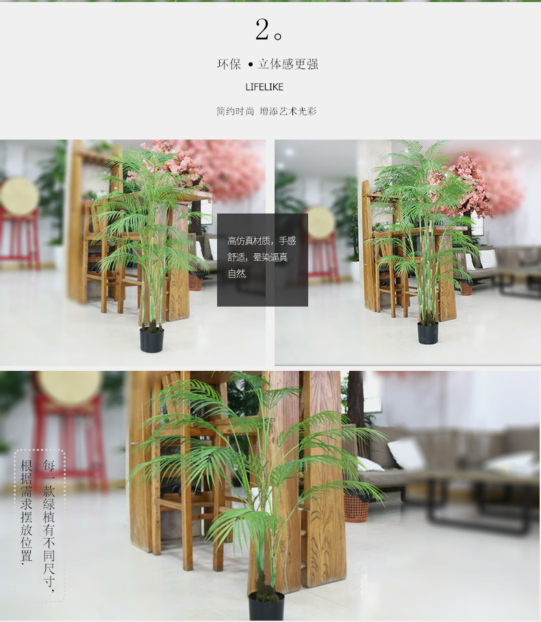 葵樹詳情頁(yè)_03.jpg