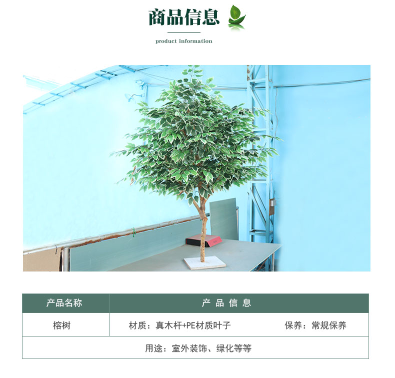 榕樹詳情頁_03.jpg