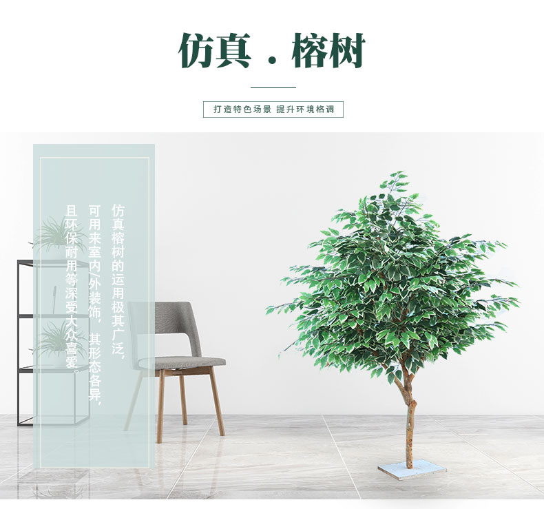 榕樹詳情頁_01.jpg