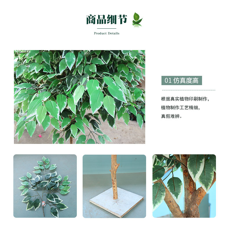 榕樹詳情頁_04.jpg