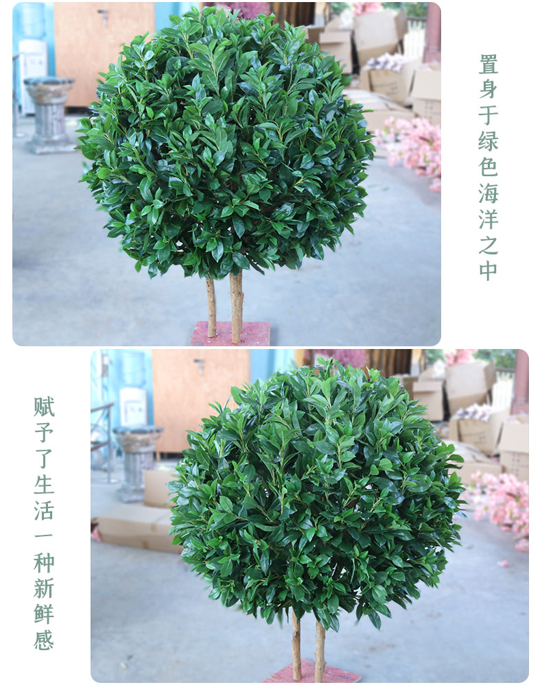 招財樹詳情頁_06.jpg