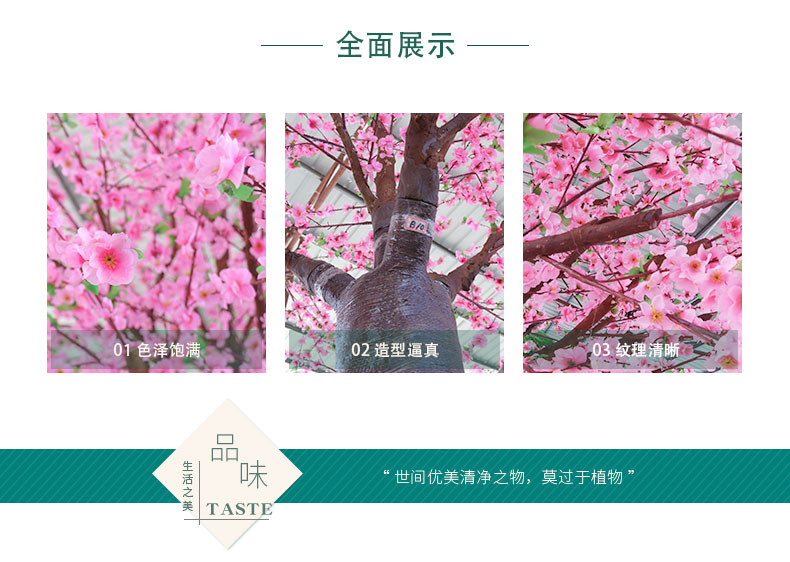 桃花樹詳情頁_02.jpg