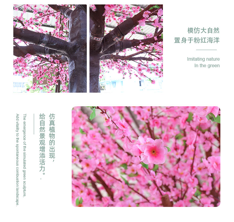 桃花樹詳情頁_06.jpg