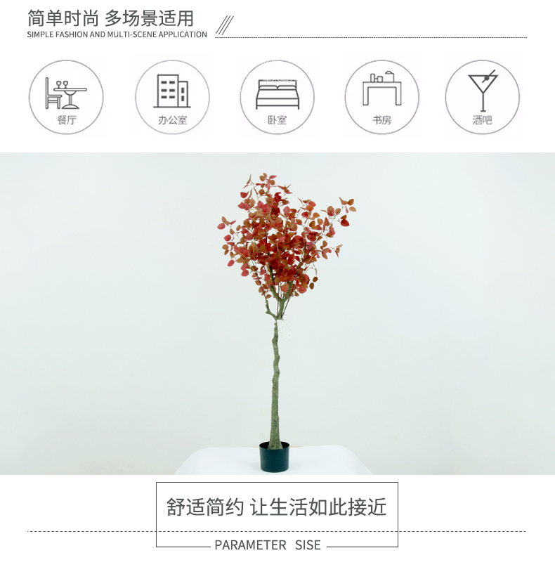 甜心樹詳情頁_02.jpg