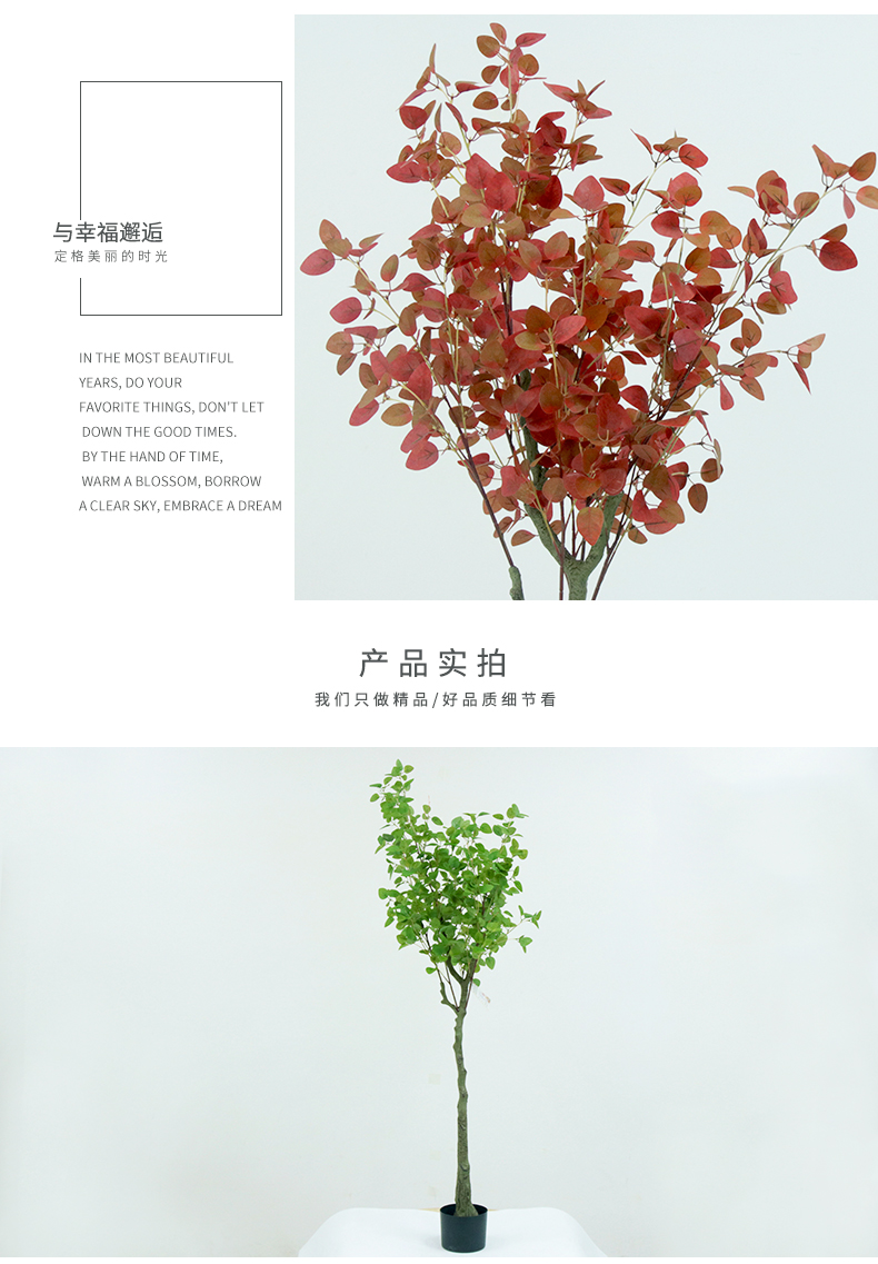 甜心樹詳情頁_03.jpg