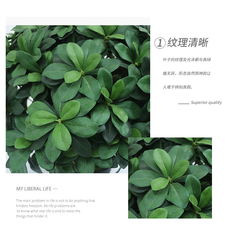 詳情頁_03.jpg