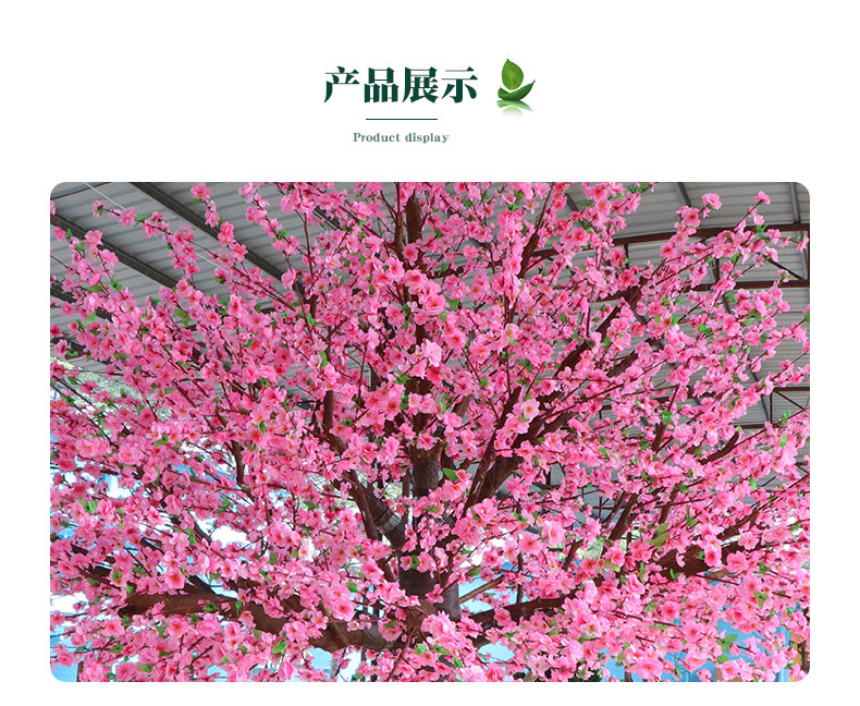 桃花樹詳情頁_05.jpg