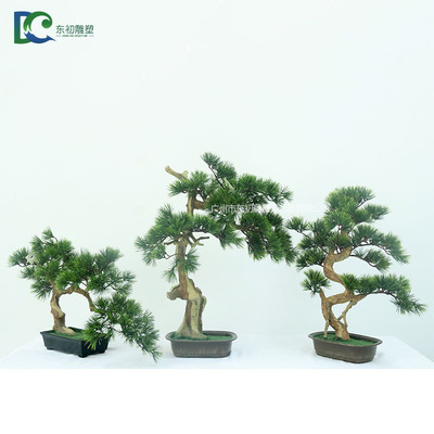 造型松柏樹盆栽