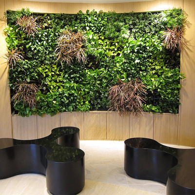 室內(nèi)植物墻批發(fā)