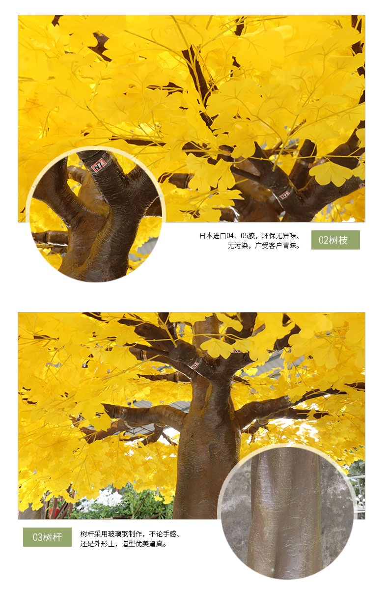 銀杏樹詳情頁_05.jpg
