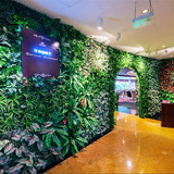 咖啡厅植物墙