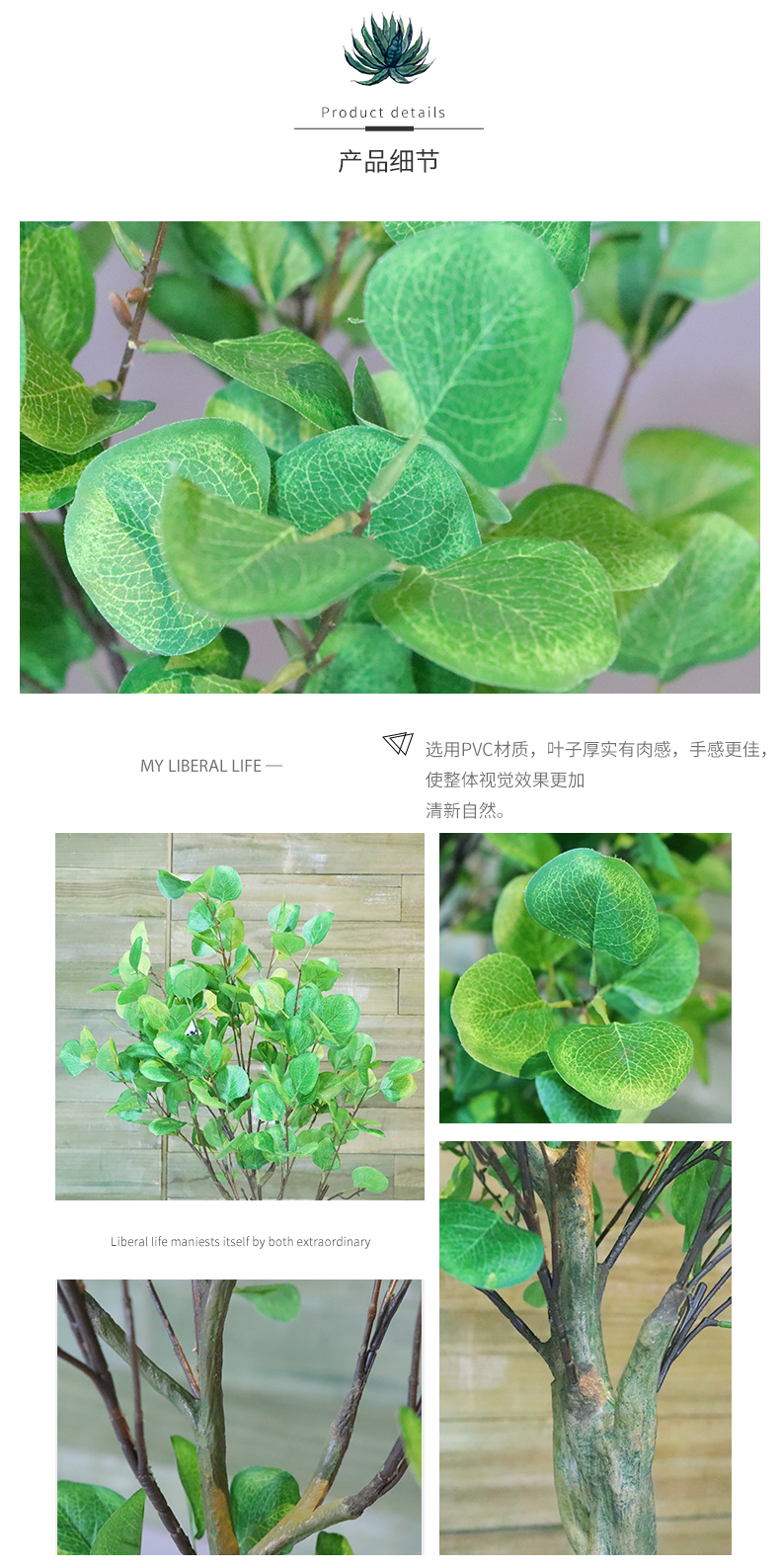 金錢葉詳情頁_05.jpg