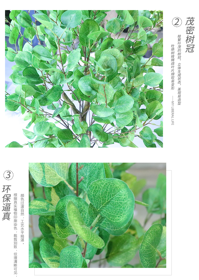 金錢葉詳情頁_04.jpg