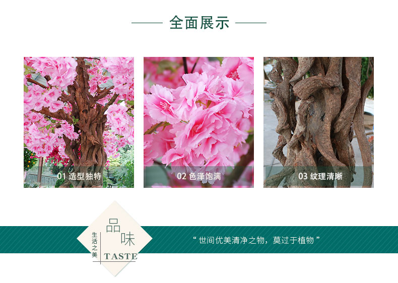 櫻花樹_02.jpg