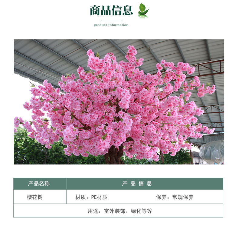 櫻花樹_03.jpg