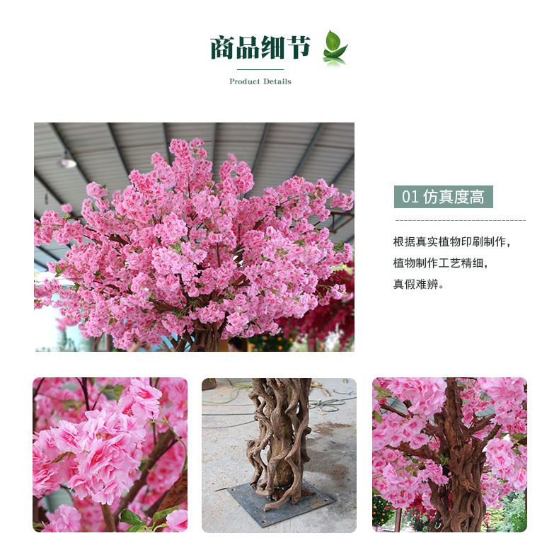 櫻花樹_04.jpg