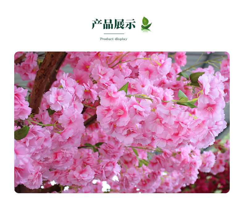 櫻花樹_05.jpg