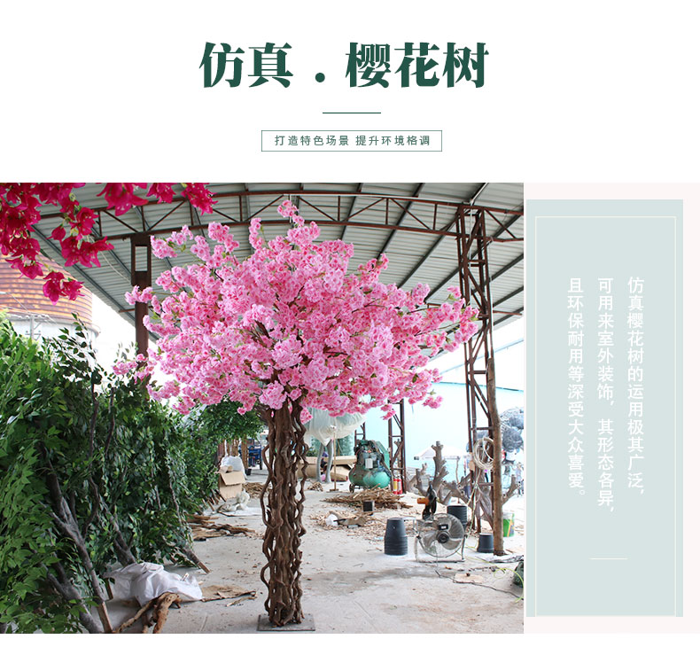 櫻花樹_01.jpg