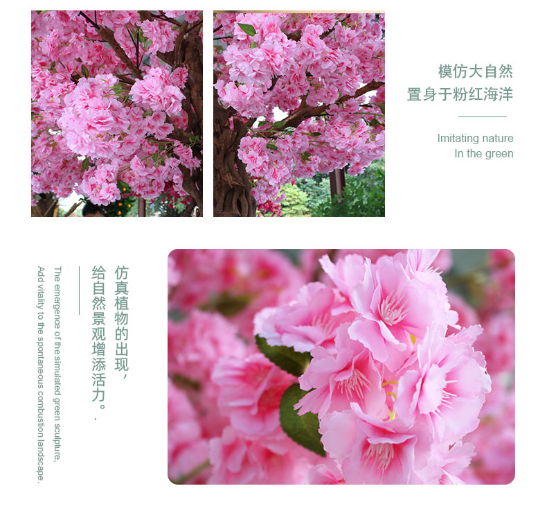 櫻花樹_06.jpg