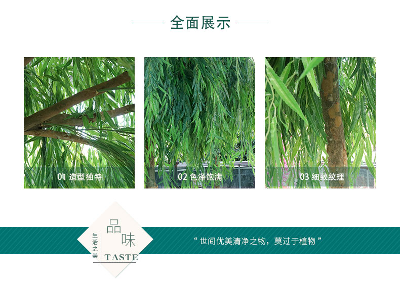 柳樹詳情頁(yè)_02.jpg