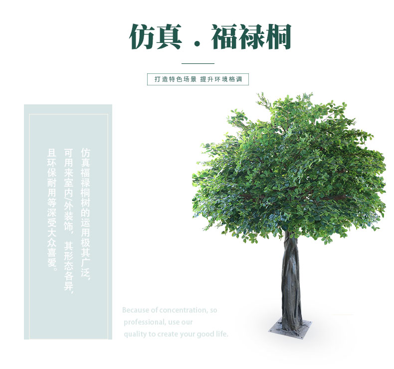 福祿桐詳情頁_01.jpg