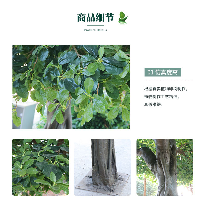 福祿桐詳情頁_04.jpg