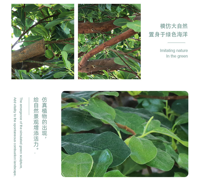 福祿桐詳情頁_06.jpg