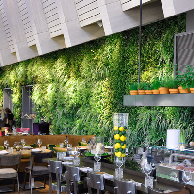 餐廳仿真植物墻打造