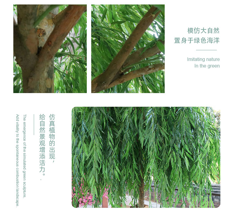 柳樹詳情頁(yè)_06.jpg