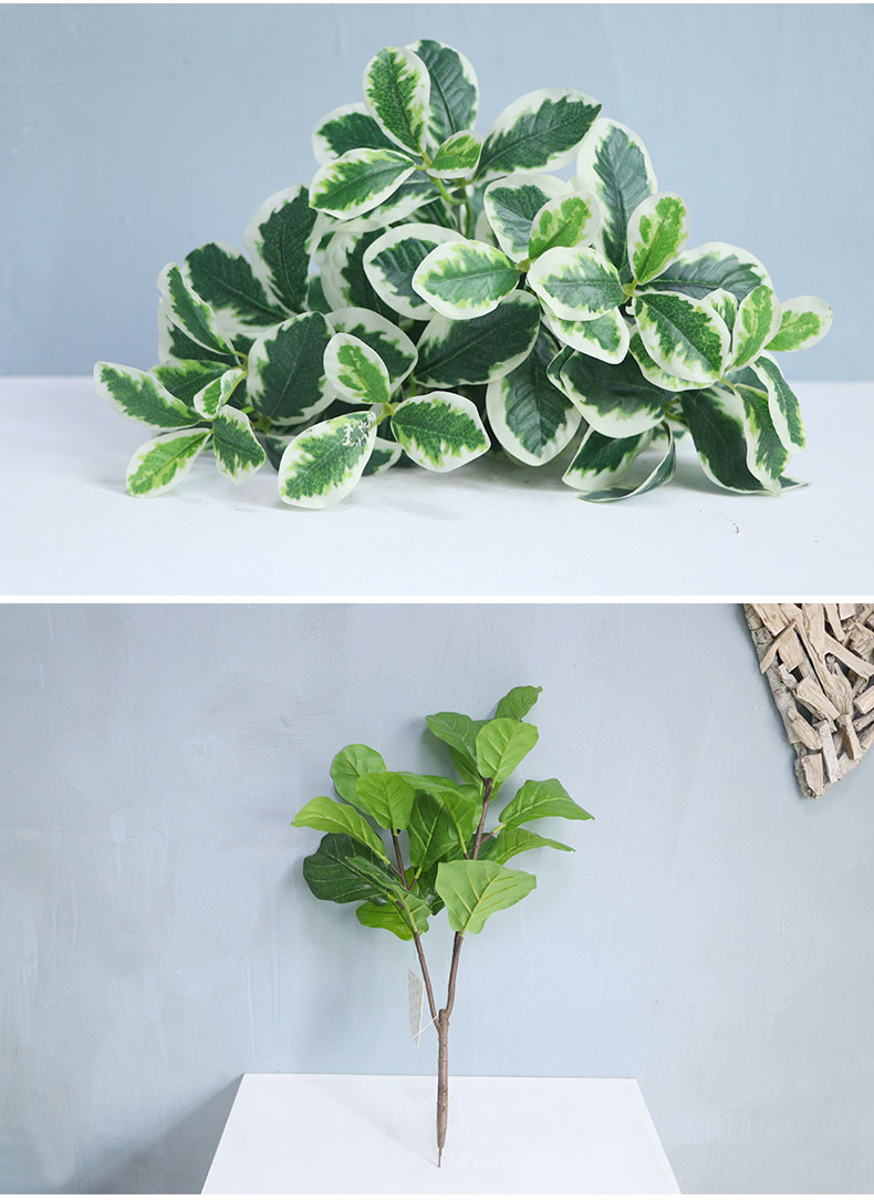 綠植裝飾_07.jpg