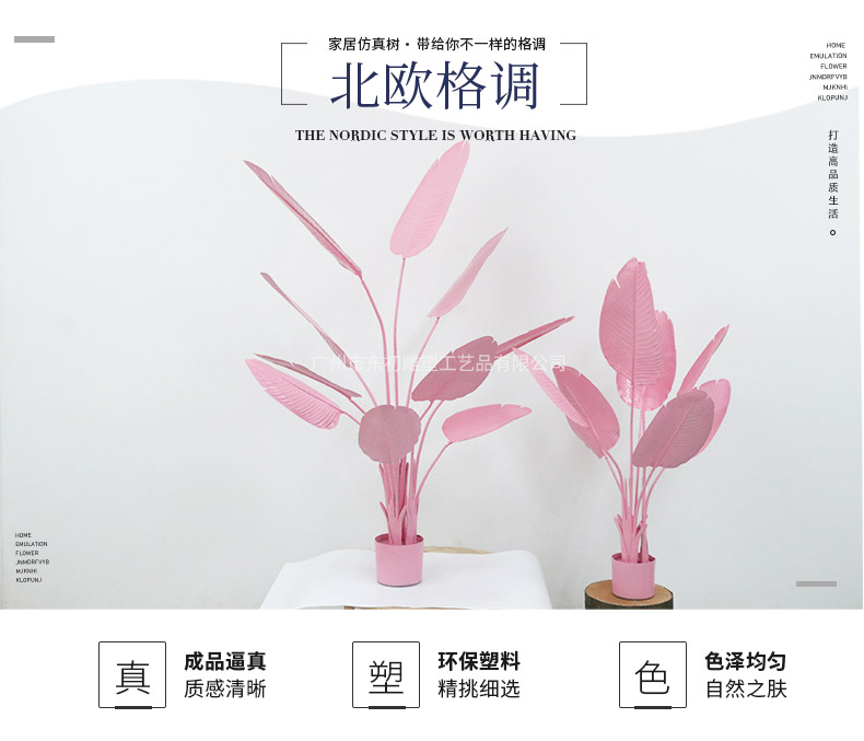 旅人蕉詳情頁_01.jpg