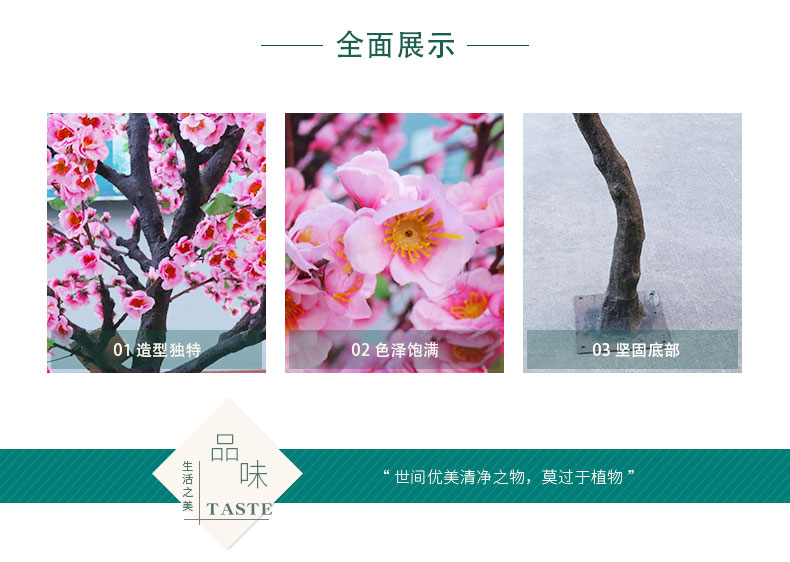 桃花樹(shù)詳情頁(yè)_02.jpg